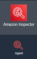How do I evaluate an app deployed on AWS with AWS Inspector?